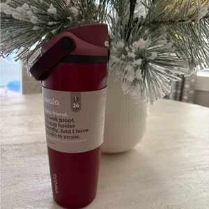 Owala Poinsetta Holiday Special Edition  Insulated Water Bottle